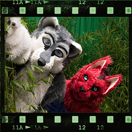 Eurofurence 2015 fursuit photoshoot. Preview picture of Arto Husky, Percy